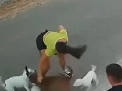Passeadora é mordida por pitbull e agredida pelo dono do animal no Ceará