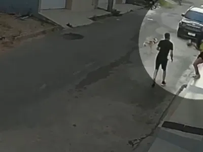 Mulher é atacada por pitbull e agredida pelo tutor no Ceará