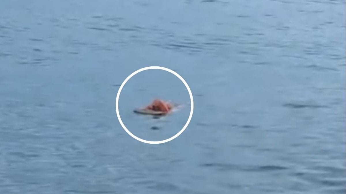 Porta de geladeira salva pescador após quase 20 horas à deriva no mar