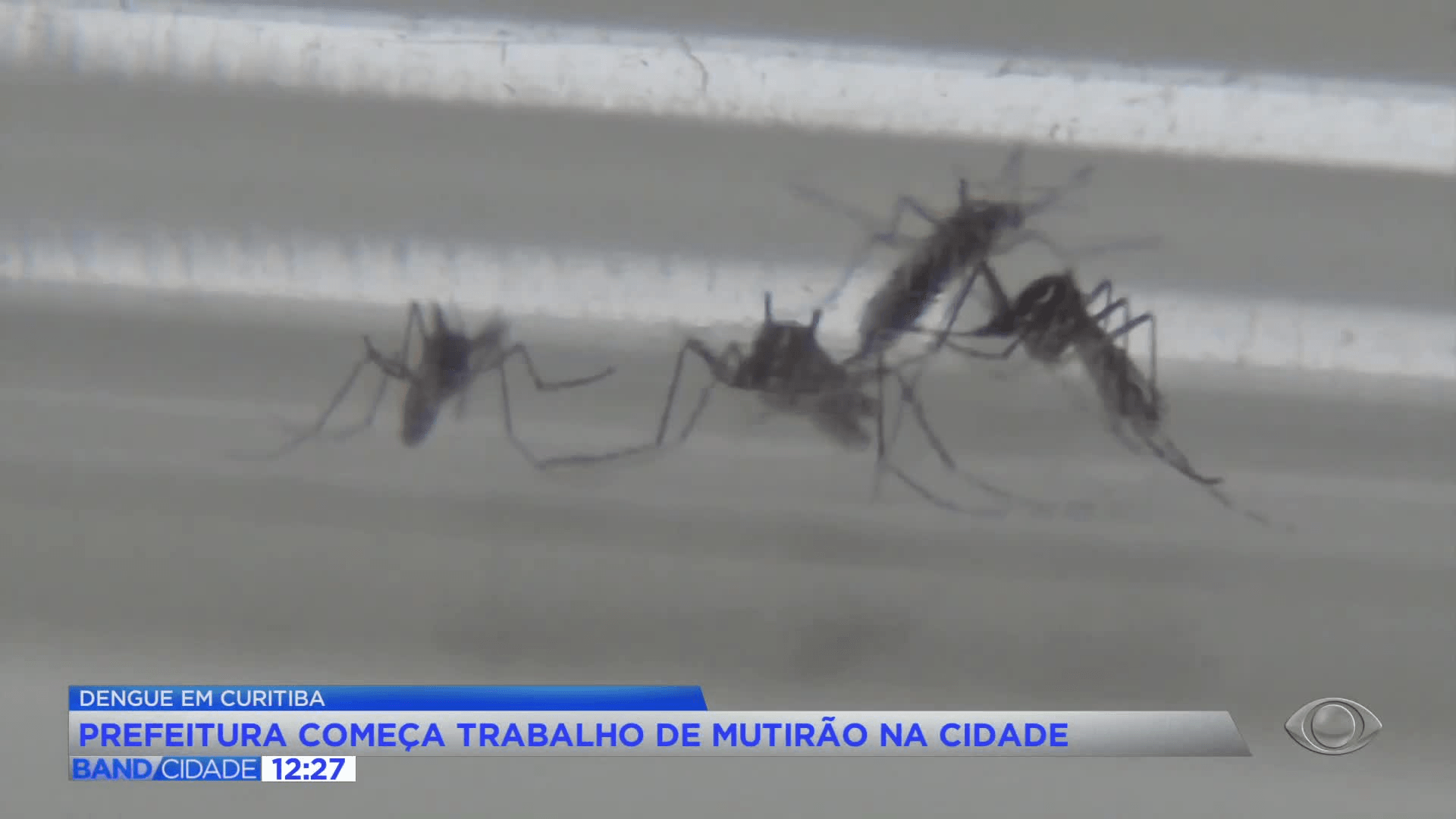 Prefeitura inicia mutirões contra a dengue em Curitiba