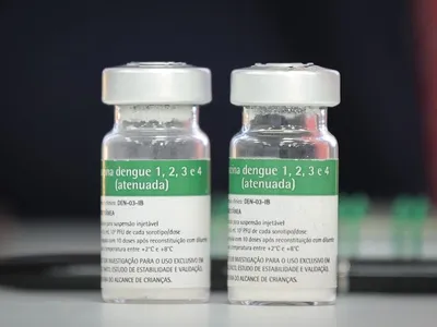 Vacina da dengue do Butantan: investigação não tem prazo para acabar