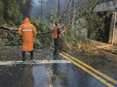 SP pode ter mais da metade da chuva de março até sexta; veja a previsão
