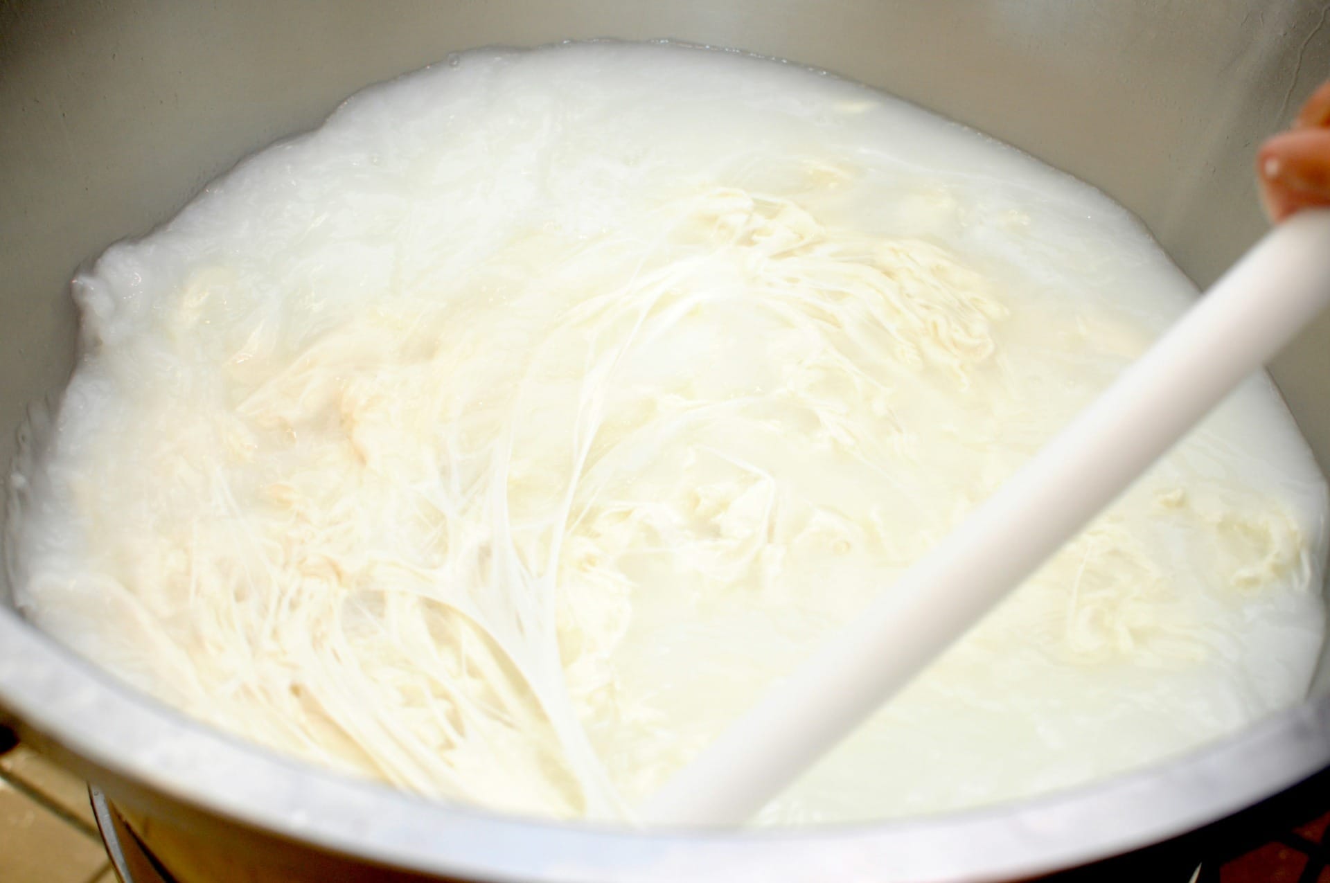 Pode congelar creme de leite? Saiba como salvar o ingrediente e não errar