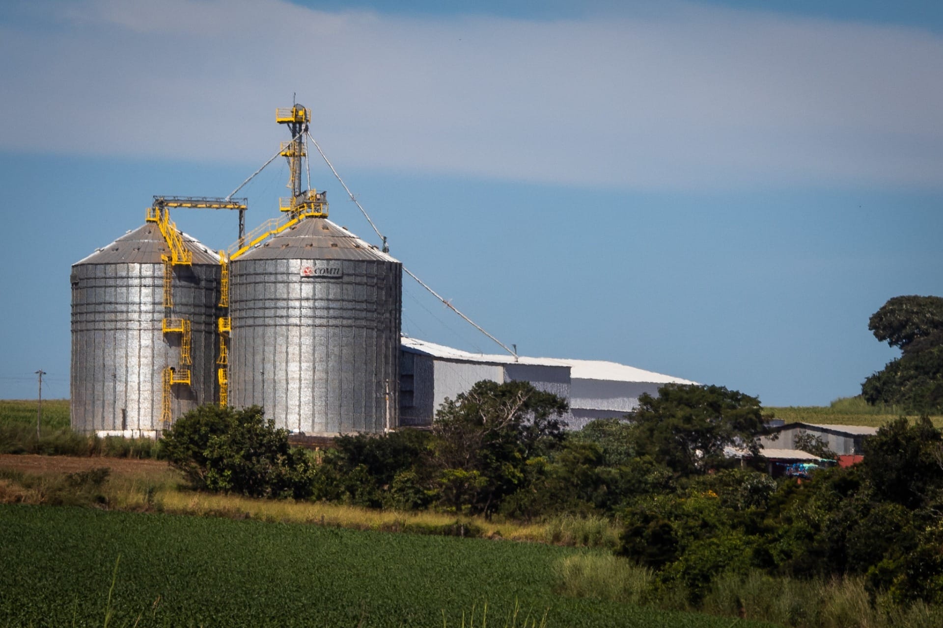 Colheita da soja obriga produtores a venderem milho por falta de silos