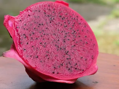 Pitaya pode ser a nova "febre" no mercado de alimentos para 2026