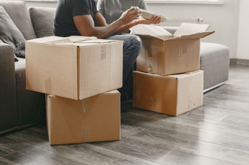 Mais de 10,9 mil pedidos de mudança saíram de São Paulo em 2025