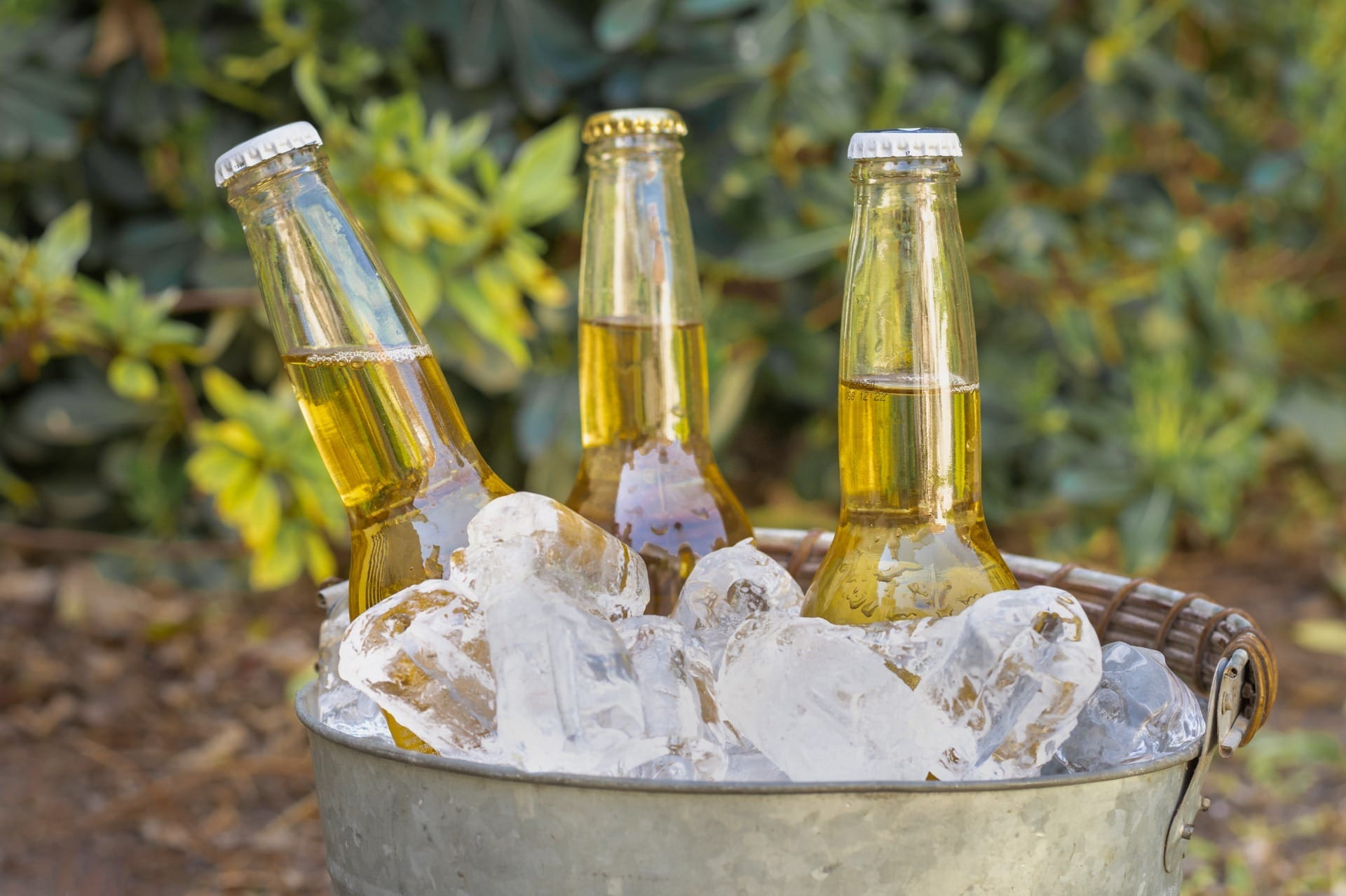 Sem bebidas quentes durante o Carnaval, use o balde de gelo. / Foto: Freepik