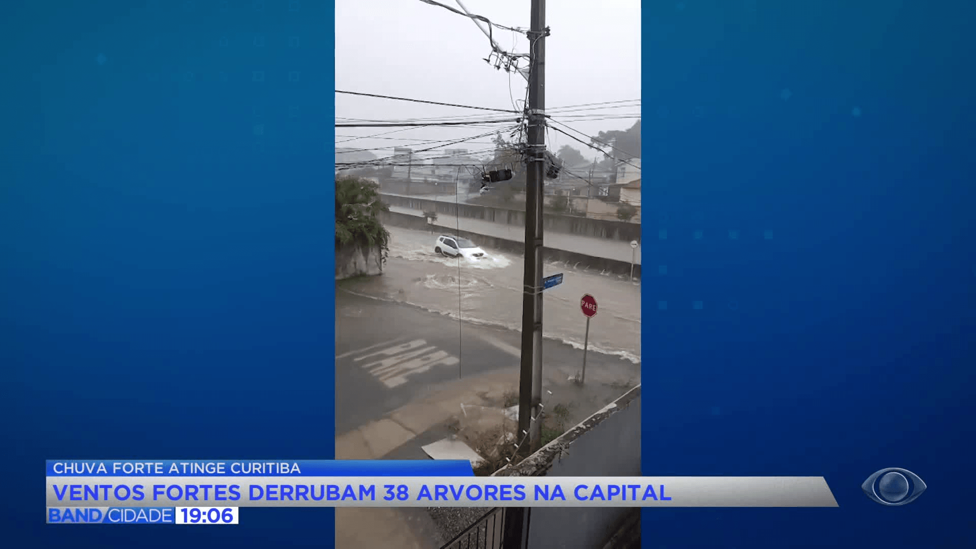 Chuva causa quedas de árvores e deixa ruas alagadas em Curitiba