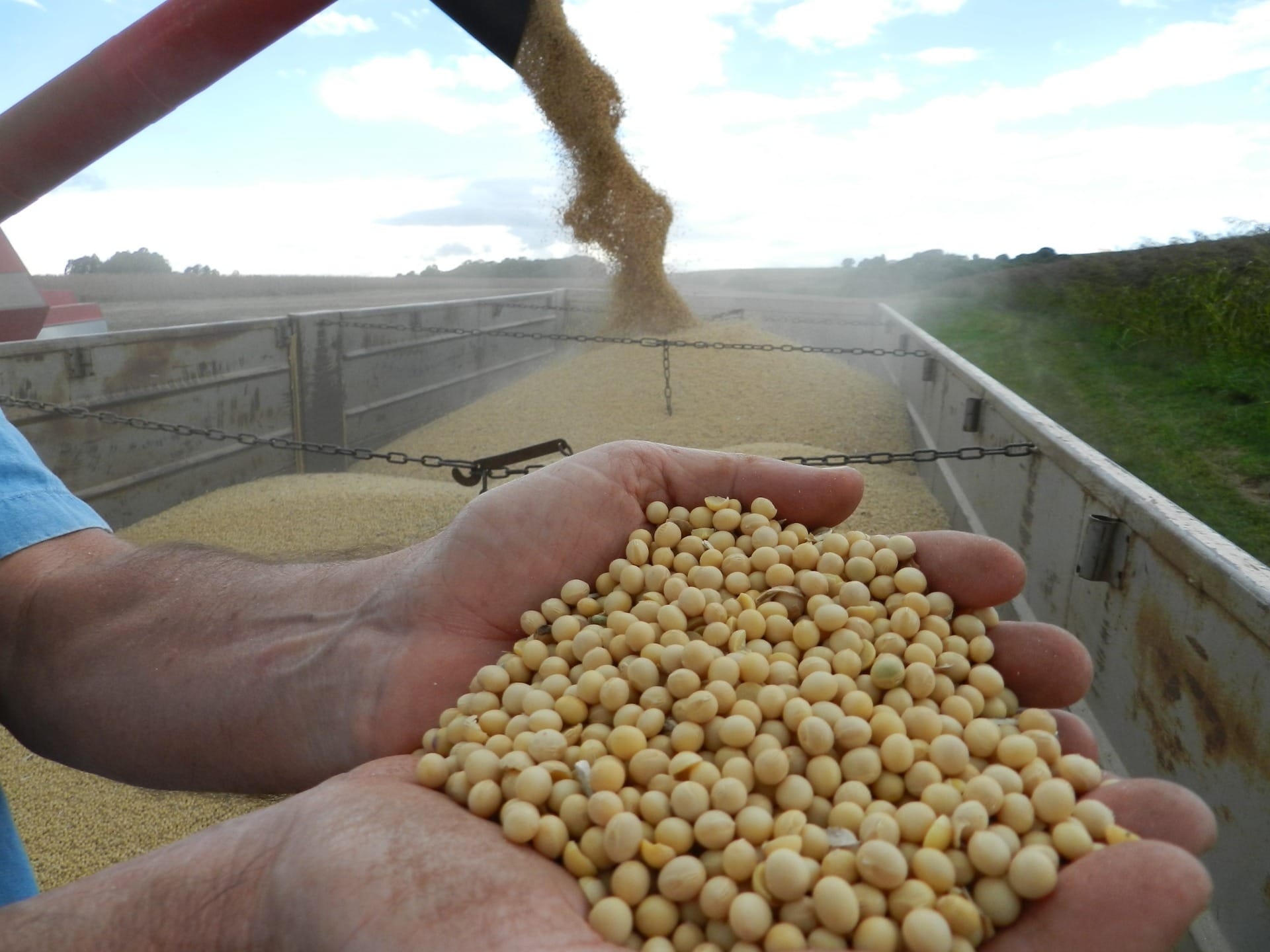 Produtividade de lavouras de soja no Rio Grande do Sul é a menor do Brasil