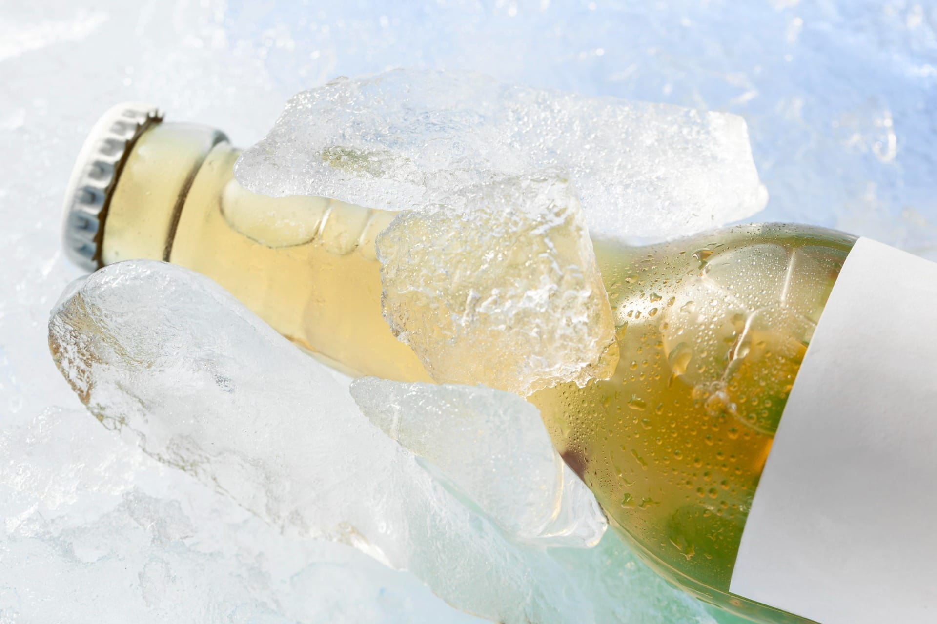 Carnaval sem bebida quente: dicas para manter tudo gelado do começo ao fim