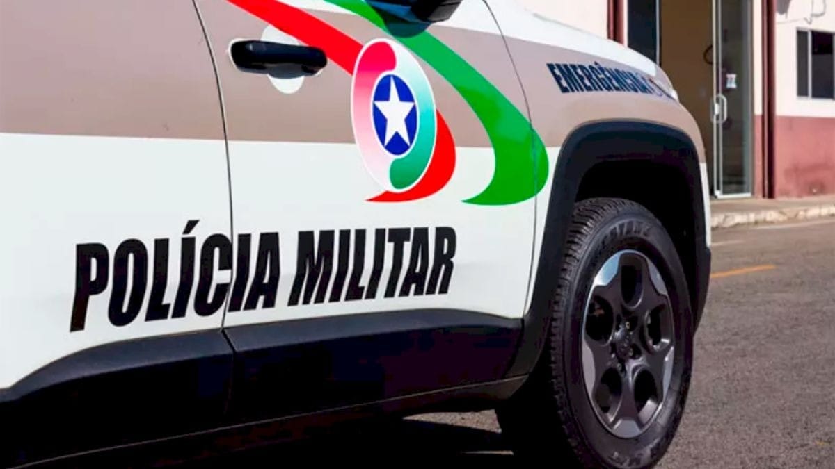 Adolescentes são apreendidos suspeitos de arremessar cão de prédio em SC