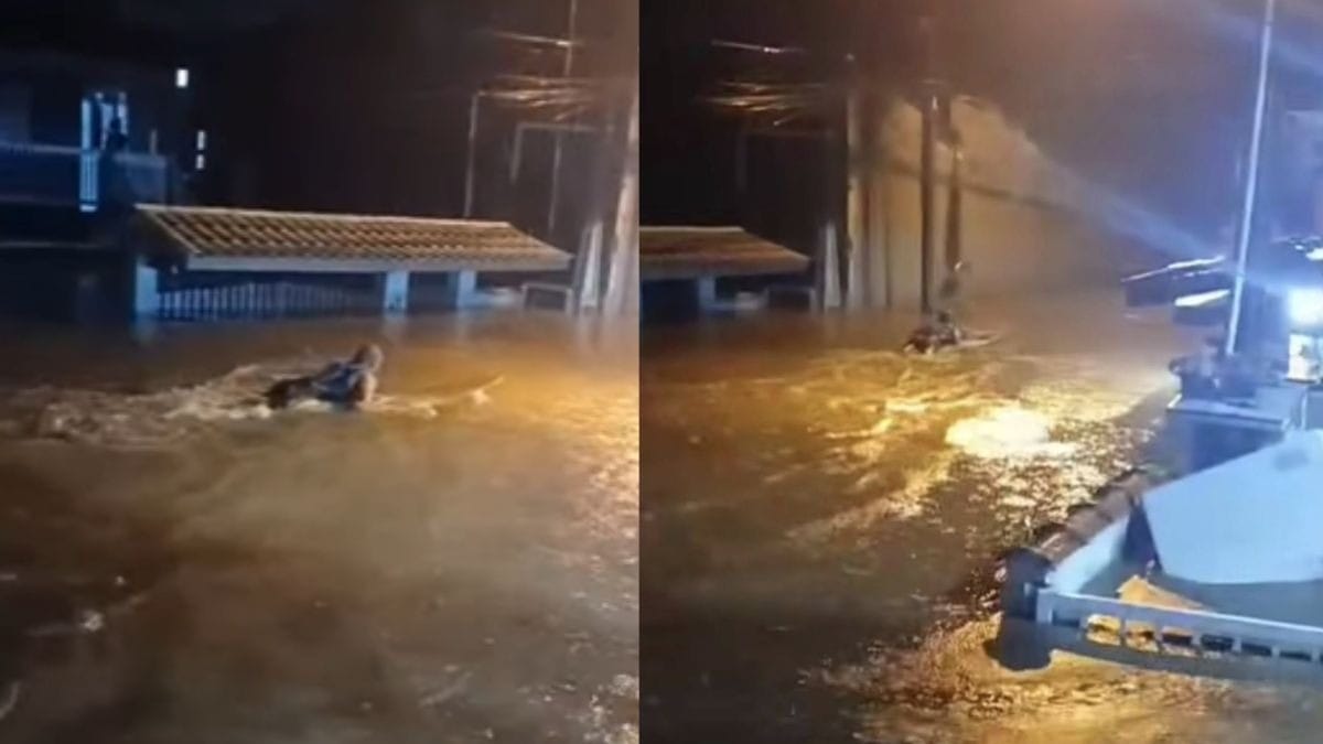 Chuva provoca naufrágio e interdição de rodovia em Ubatuba (SP)