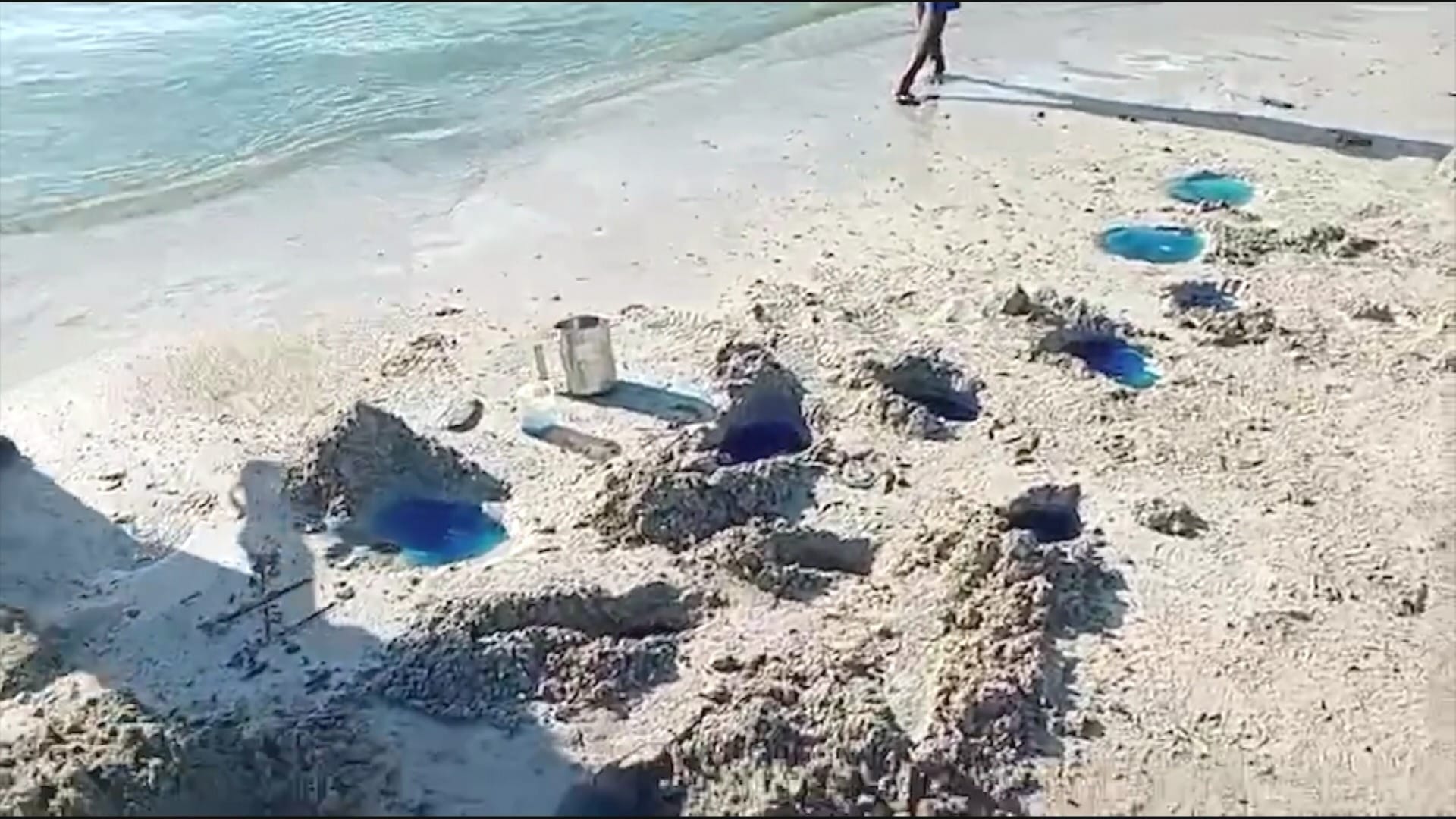 Contaminação mata peixes e paralisa pesca em praia de Salvador (BA)