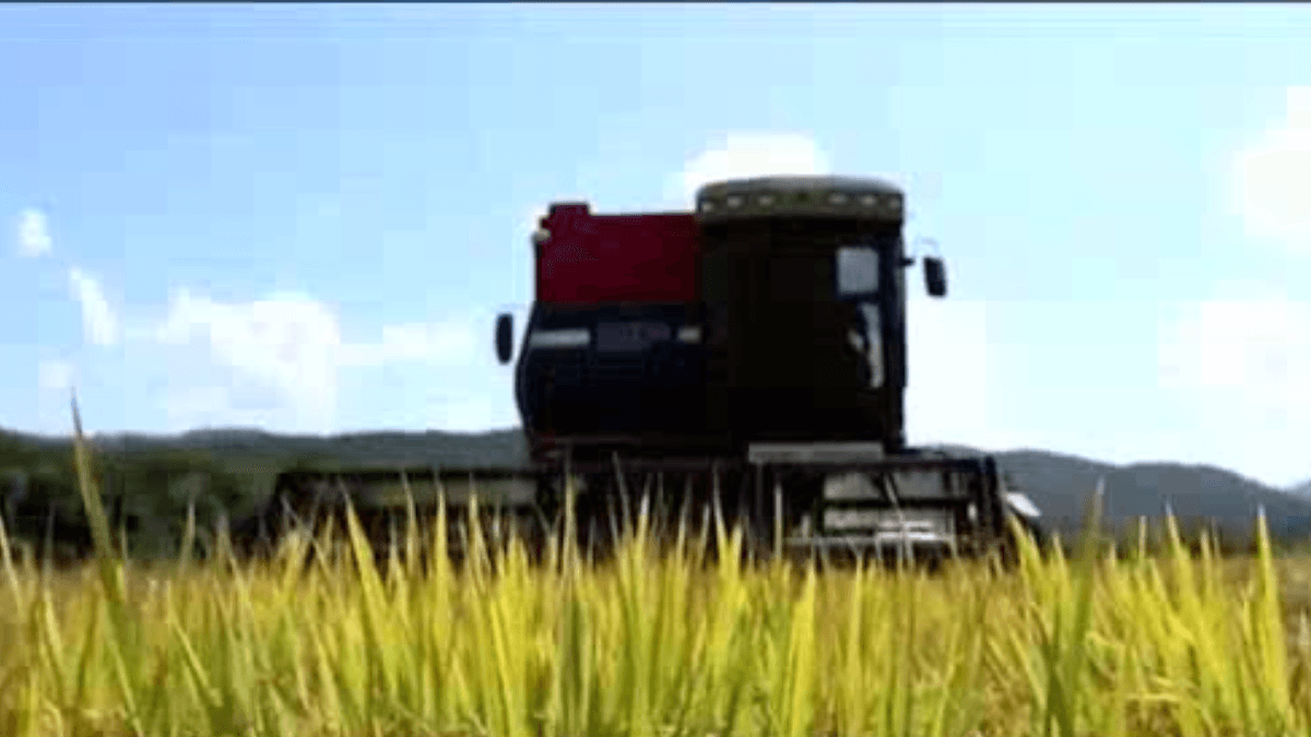 Acordo Mercosul-União Europeia: Agro teme travas e cobra reciprocidade