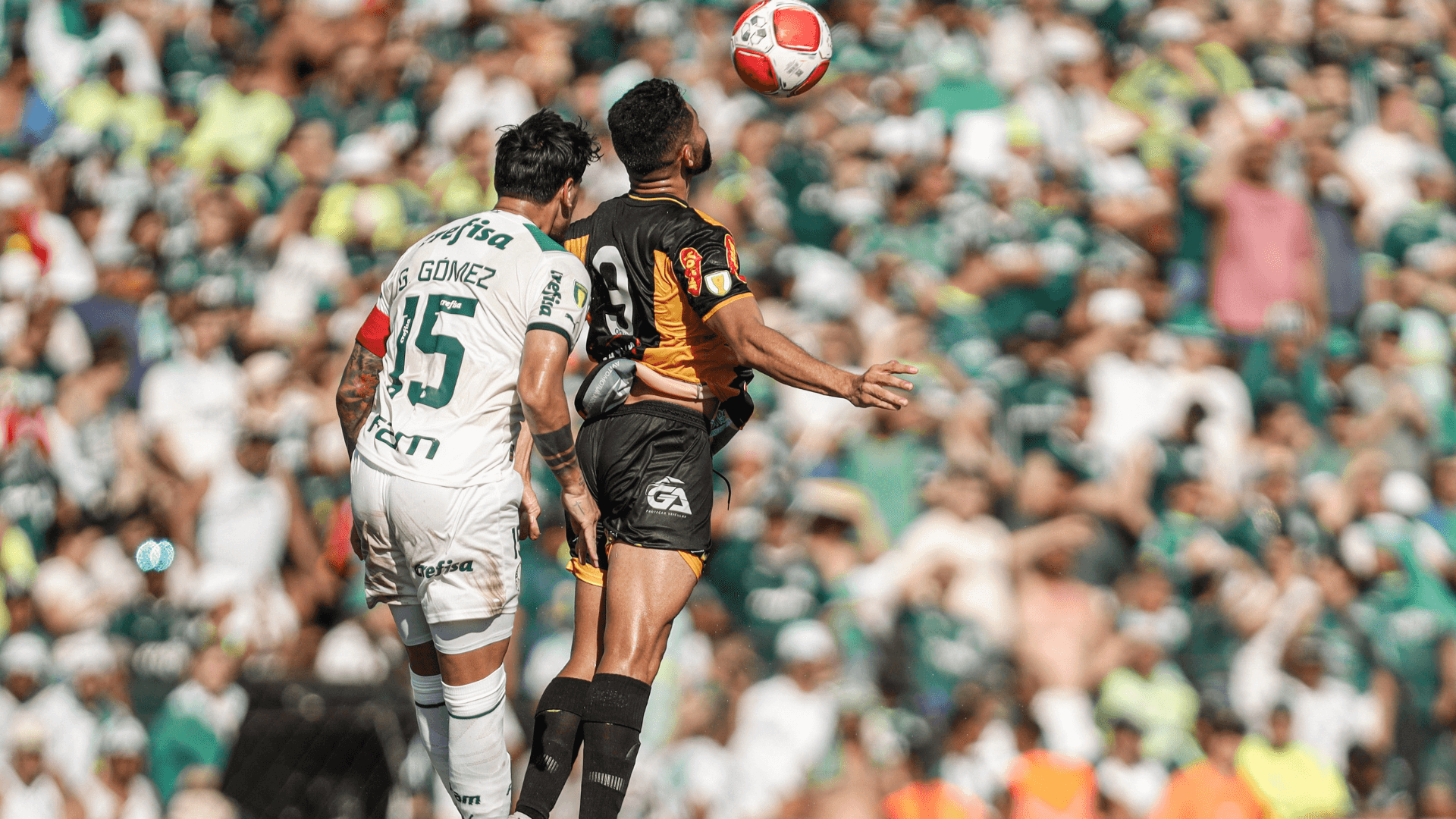 Novorizontino e Palmeiras fazem final do Paulistão; onde assistir ao vivo