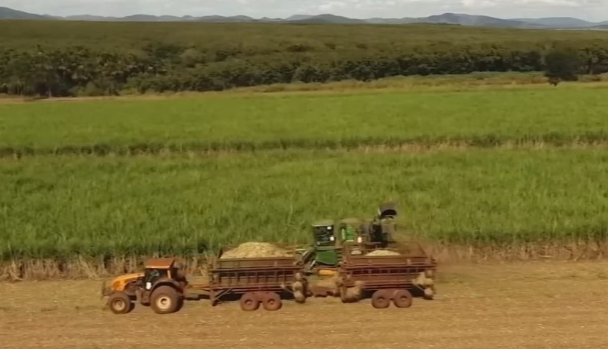 Guerra ameaça fornecimento de fertilizantes e exportações brasileiras