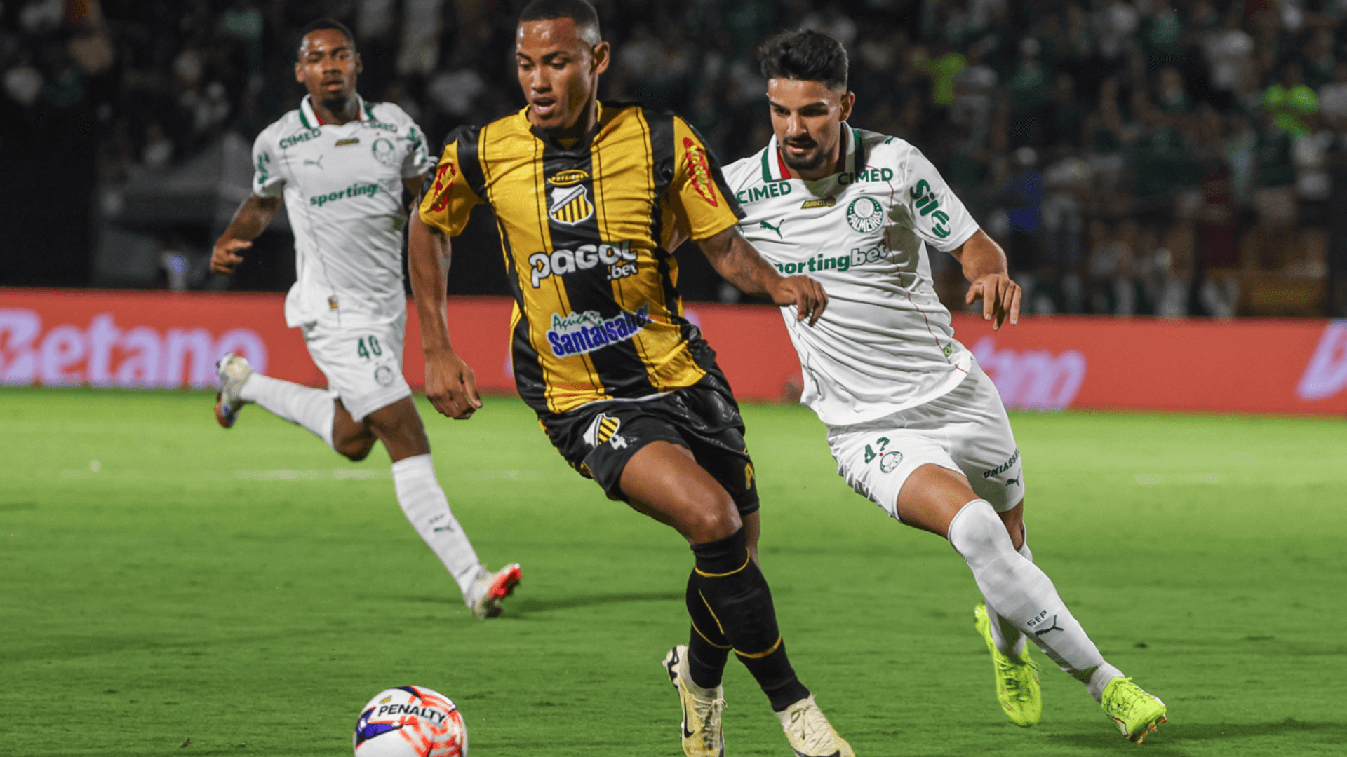 Palmeiras recebe Novorizontino na ida da final do Paulista; onde assistir