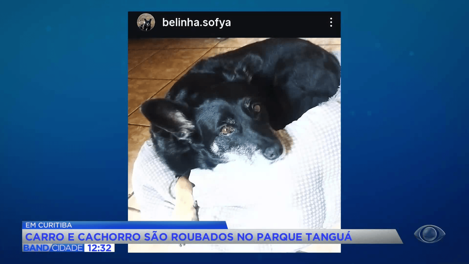Homem tem carro e cachorro roubados no Parque Tanguá
