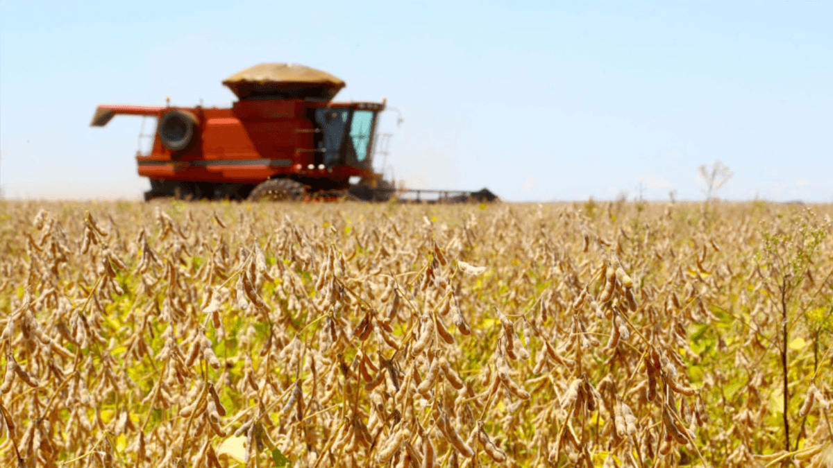 PIB do Brasil cresce 2,3% com alta do agro e soma R$ 12,7 trilhões em 2025