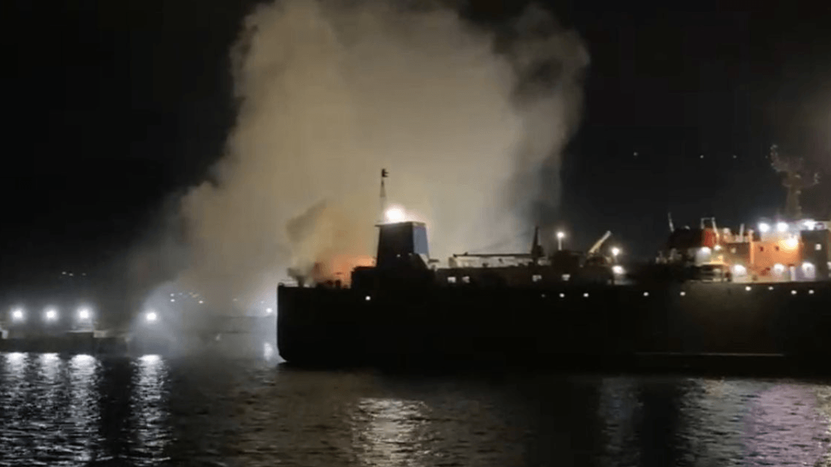 Navio com 2600 bovinos e 28 tripulantes pega fogo no Porto de São Sebastião