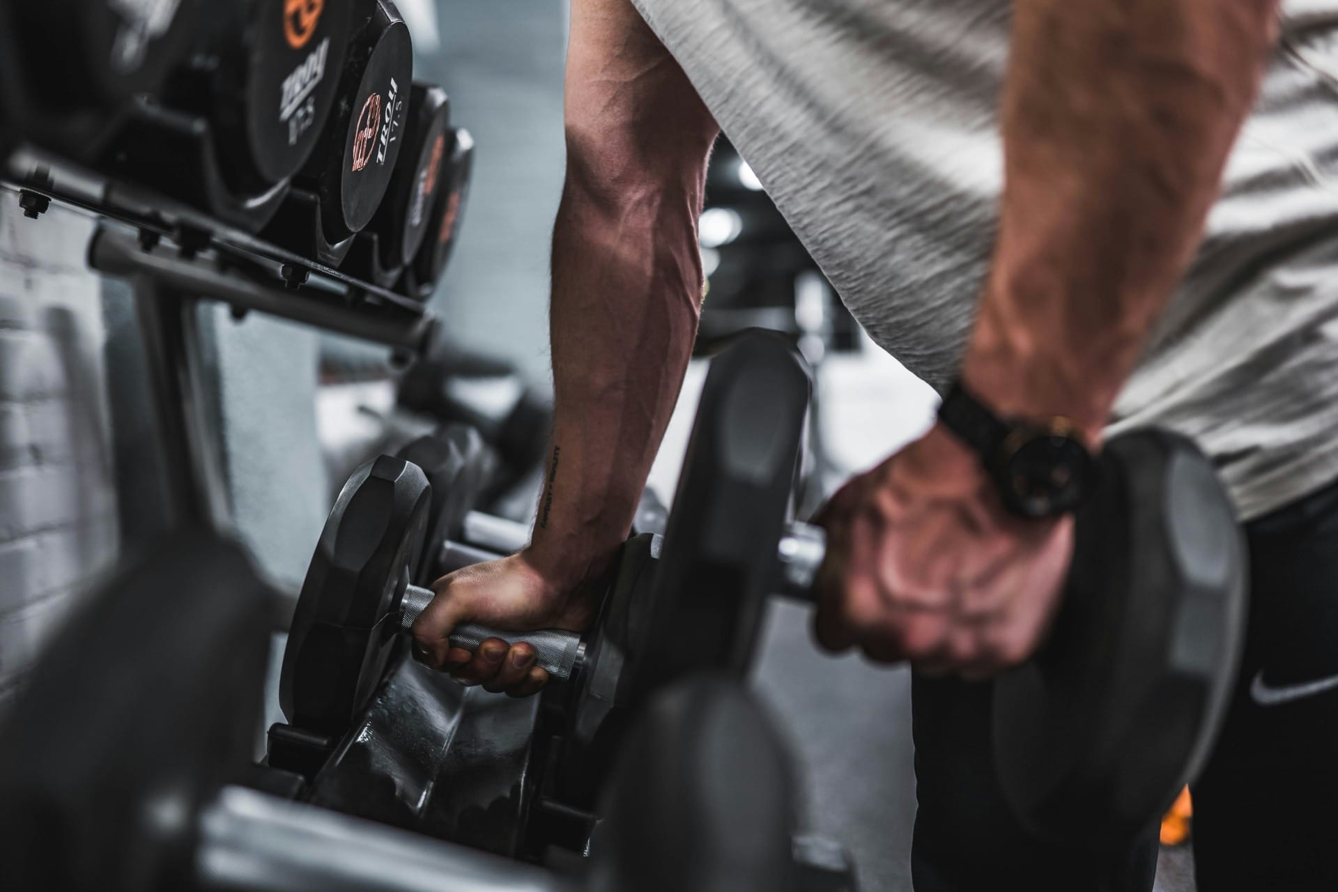 Halteres e elásticos são alternativas comuns para treino doméstico | Crédito: Unsplash
