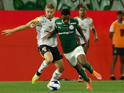Titulo do Palmeiras em risco? Novorizontino está 100% jogando em casa