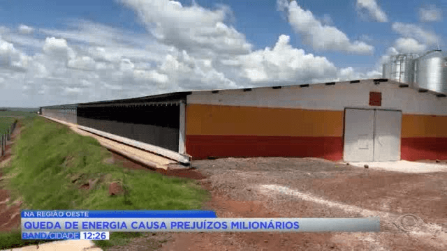 Quedas de energia no oeste do PR geram prejuízo a produtores