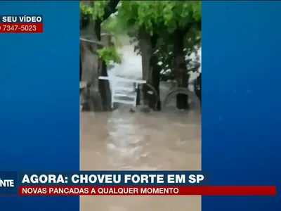 Carro com casal de idosos é arrastado por enxurrada em SP; assista