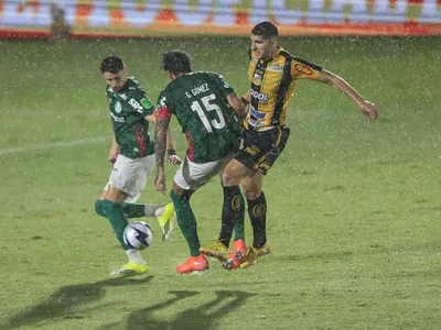 Quanto o Palmeiras ganha com o título do Paulistão? Veja premiações