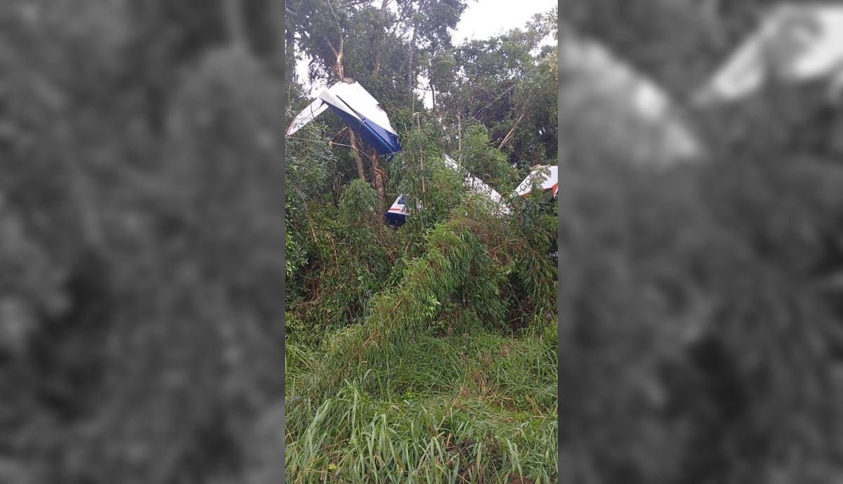 Piloto morre após queda de avião em área rural de Piên