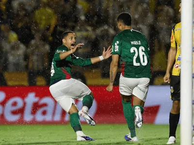 Palmeiras derrota Novorizontino mais uma vez e é campeão paulista
