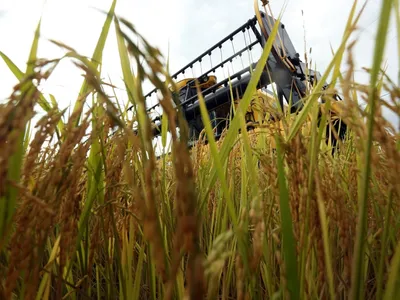 Alta do diesel gera custo extra de R$ 612 milhões para o agronegócio no RS