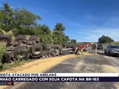 Caminhão com soja capota na BR-163 e motorista é atacado por abelhas
