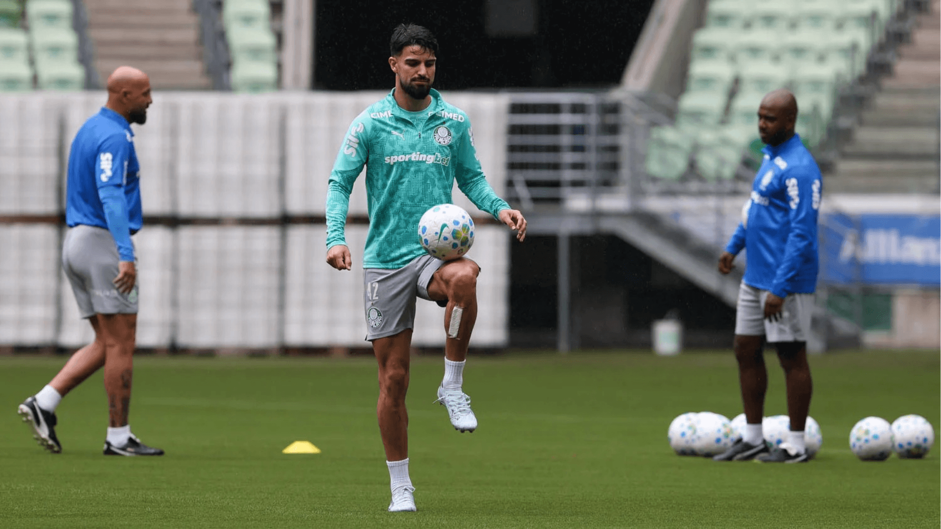 Jogadores do Palmeiras conhecem novo gramado do Allianz: "Melhor do Brasil"
