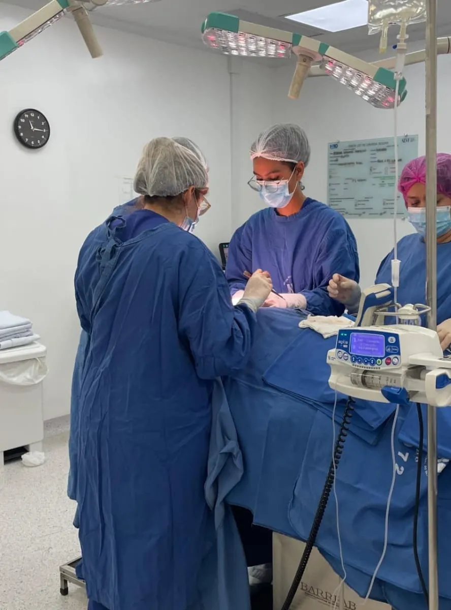 Wingrid Barreto  durante rotina de estudos no curso de medicina I Crédito: Arquivo pessoal
