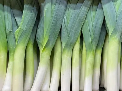 Descubra duas maneiras deliciosas de usar alho-poró na cozinha