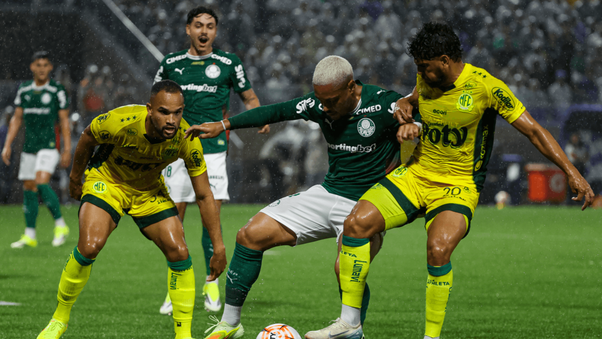 Palmeiras x Mirassol: onde assistir ao vivo, horário e odds do ...