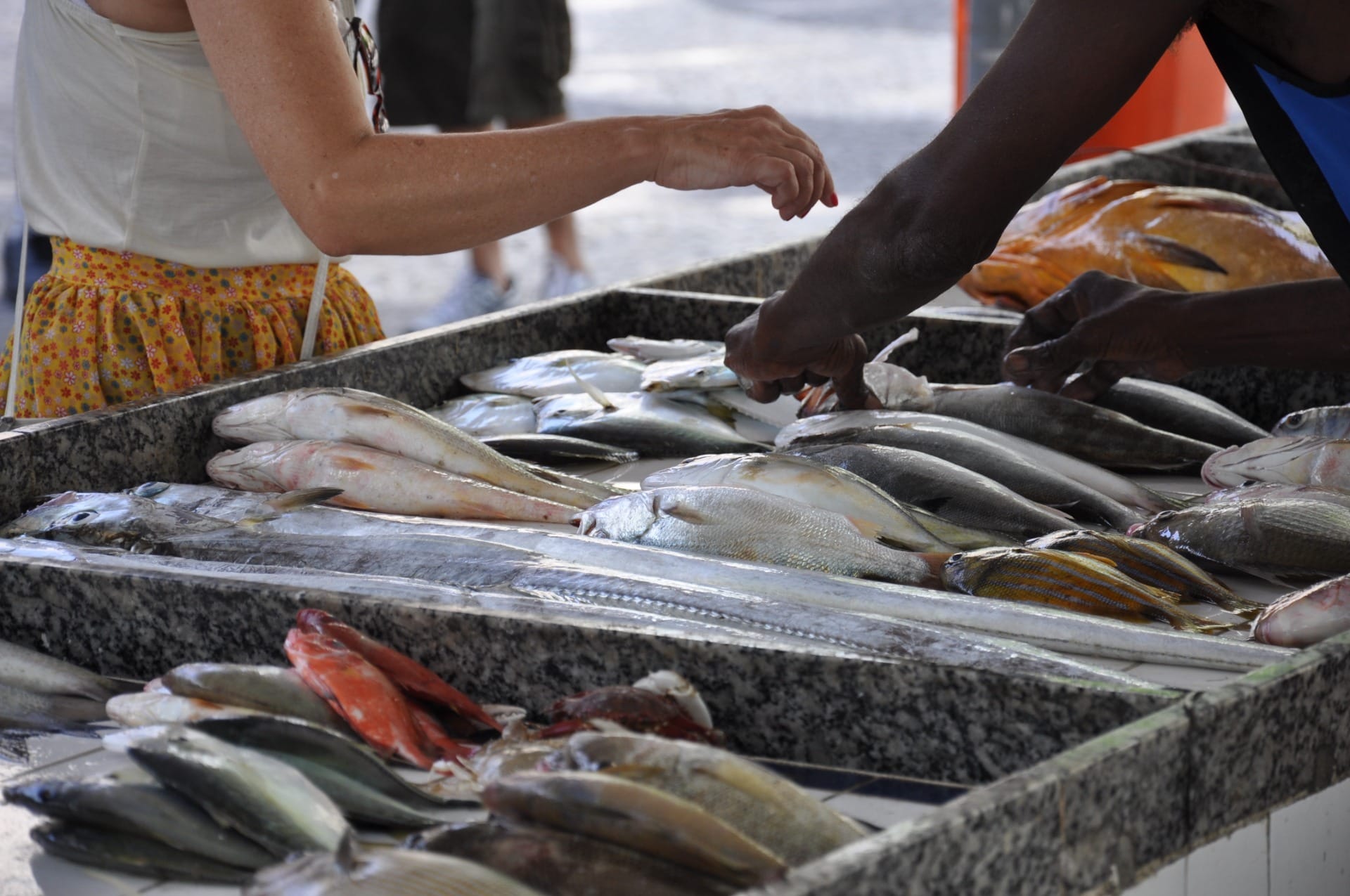 Comercialização de peixes em alta na Quaresma exige atenção do consumidor