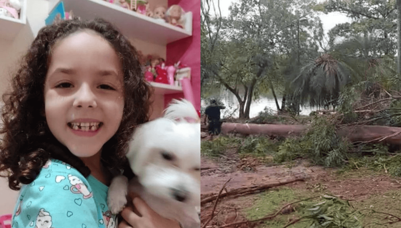 MP pede condenação de Campinas por queda de árvore que matou menina