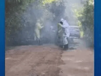 Homem morre em ataque de enxame de abelhas no Vale do Jequitinhonha