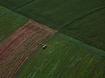 Paraná amplia produção agropecuária e se consolida como potência