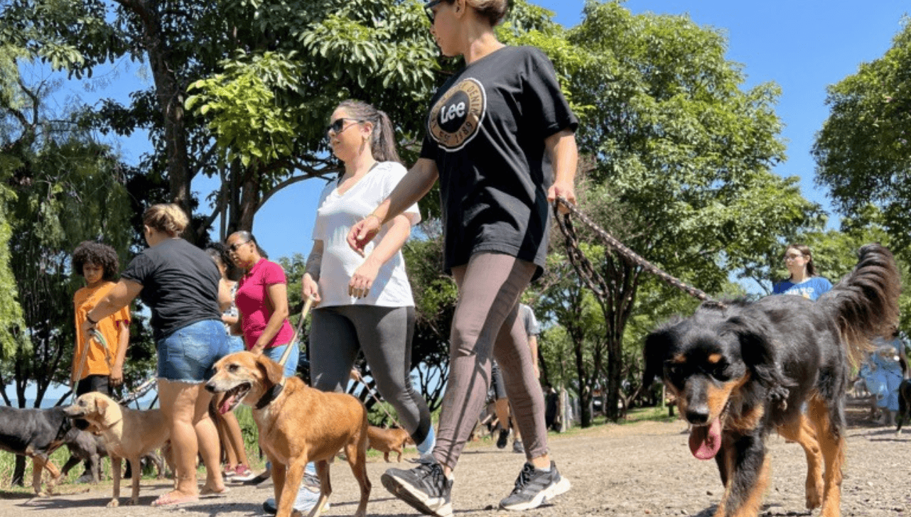 Piracicaba realiza 'cãominhada' na manhã deste sábado (21)