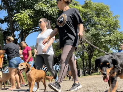 Piracicaba realiza 'cãominhada' na manhã deste sábado (21)