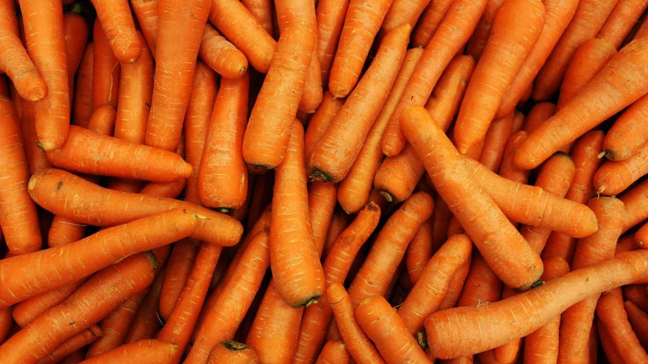 Cenoura além do óbvio: como dill ajuda a realçar o sabor do legume