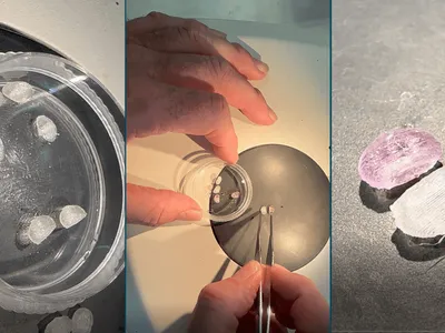 Unicamp cria dispositivo 3D que recria medula óssea em laboratório