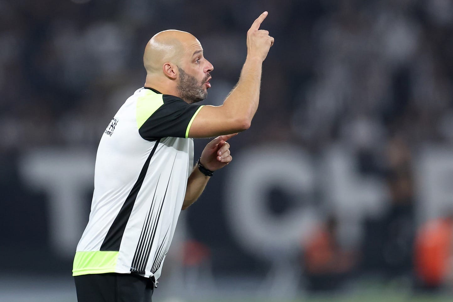 Botafogo anuncia Franclim Carvalho como novo técnico da equipe