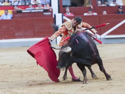 Ex-toureiro morre após levar chifrada na Espanha