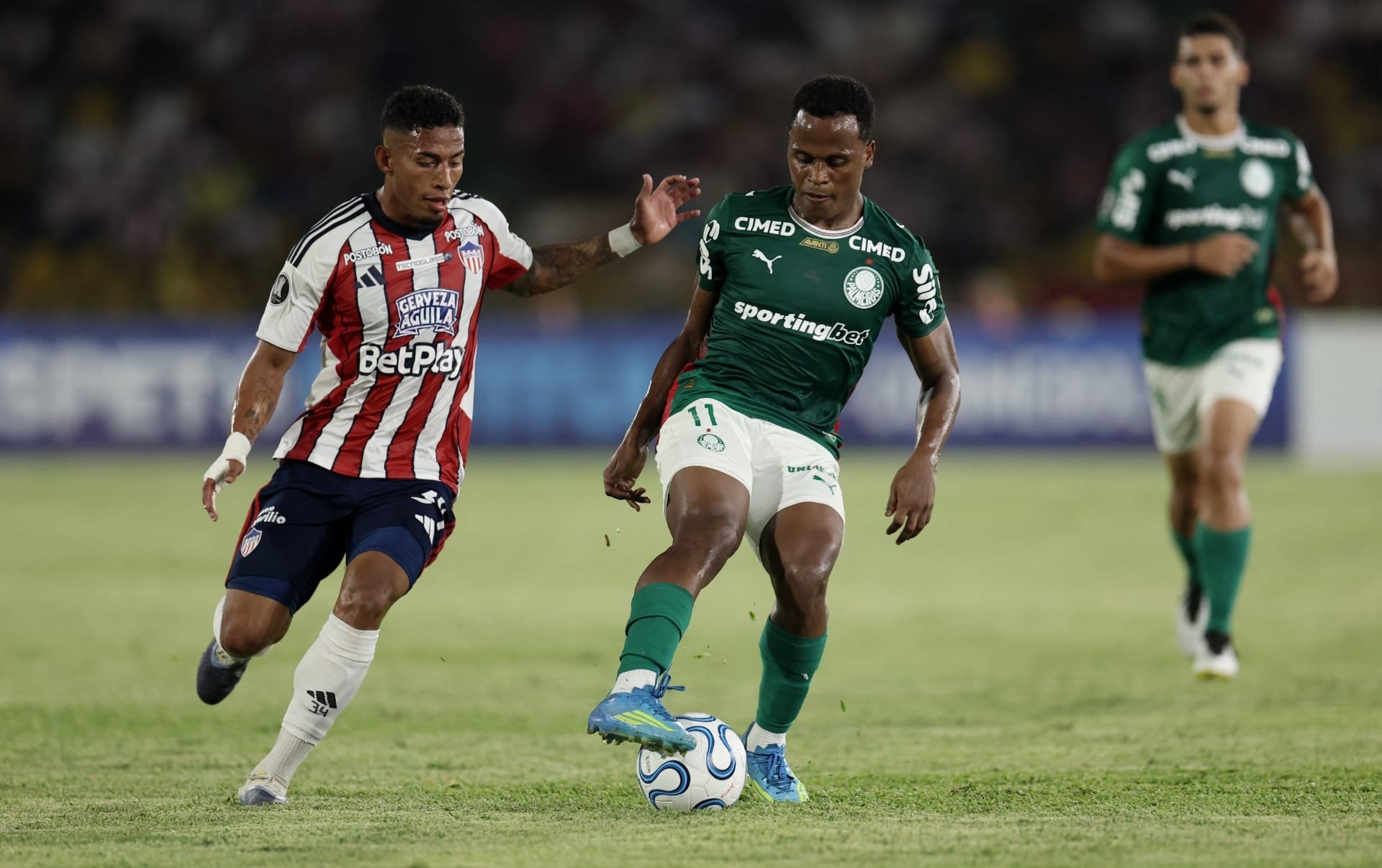Palmeiras busca empate com Junior, fora de casa, na Libertadores