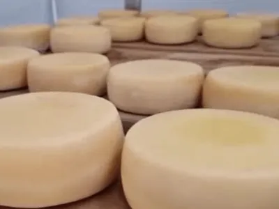 Festival do queijo artesanal em BH reúne produtores de 16 regiões