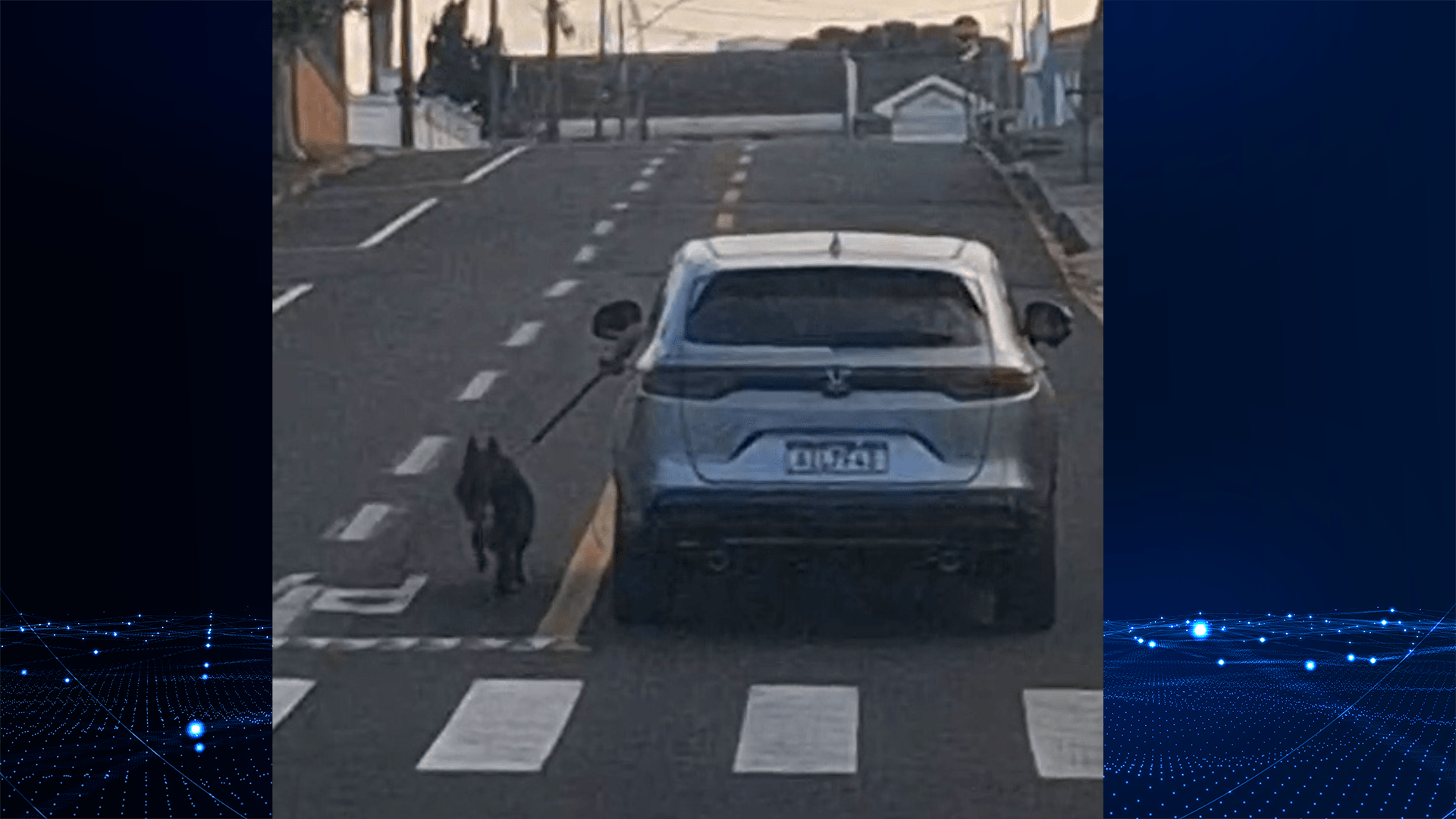 Vídeo mostra motorista dirigindo com cão preso para fora de carro no PR